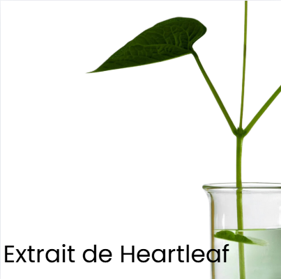 Huile Démaquillante Revitalisante Éclat™ Evonex®